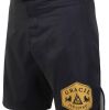 Golden Lion Fight Shorts (Men) Photo 1