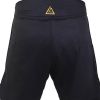 Golden Lion Fight Shorts (Men) Photo 2